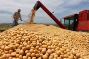 China calls for efforts to ensure corn, rice production as major agricultural province Jilin hit by Covid-19 outbreaks