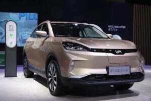 China’s WM Motor said to cut salaries, shelf benefits amid sluggish sales