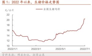 Ongoing rebound in hog prices stronger than expected – China Merchants Securities
