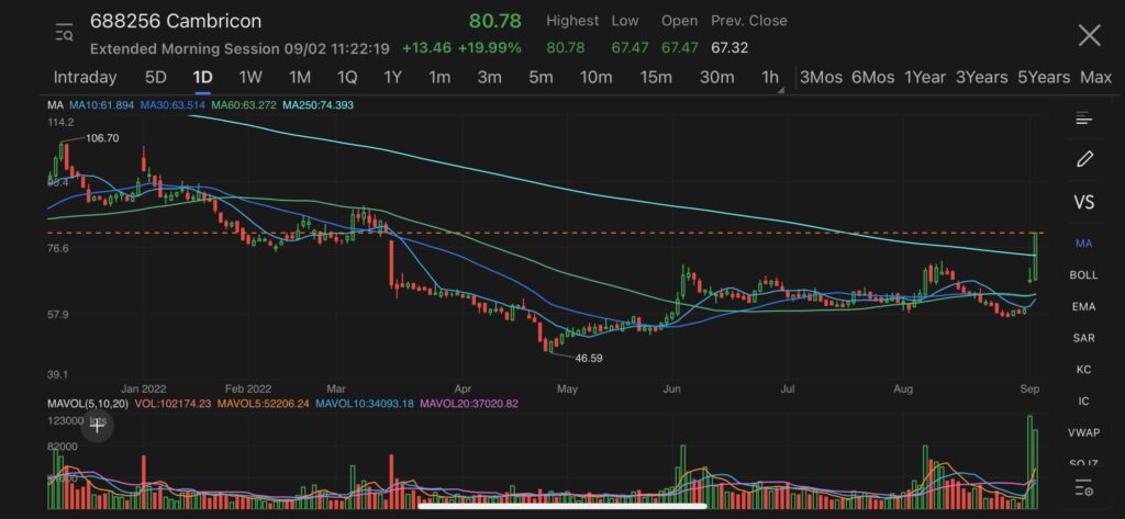 Cambricon Technology