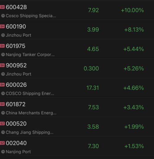 Chinese shipping companies, port operators rally as BDI index posted biggest one-day gain in seven months