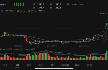 China’s shipping index futures surge for 5th straight day, rallying 56% for the week 