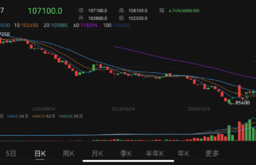 China’s lithium carbonate futures rebounded, spot price declined further to hit new two-year low