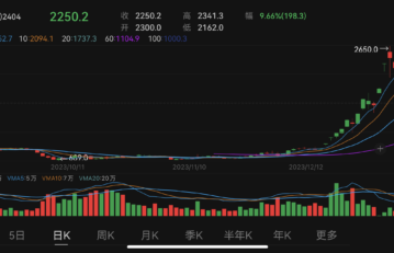 China’s container shipping index futures continue to rally amid persistent disruptions to global shipping by Red Sea tensions