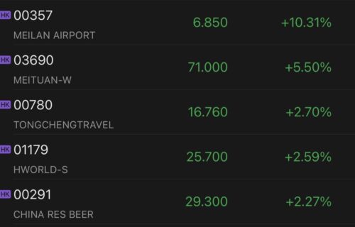 Chinese holiday concept stocks rally in Hong Kong on strong tourism