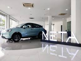 neta auto