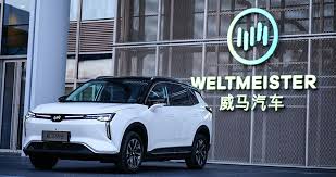 AutoWM Motor Plans Restart After Restructuring, Aims to Produce 20,000 Cars in 2025, but Market Opportunity May Have Passed