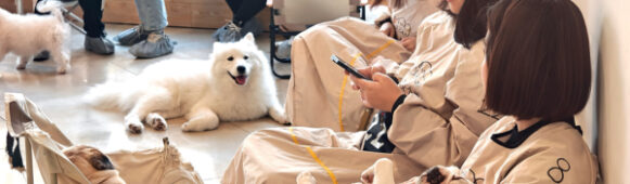 Pet EconomyChina’s Pet Market Enters Rapid Expansion: Young Consumers Drive the Upgrade of the “Pet Economy”