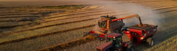 CommodityChina’s Rapeseed Meal Futures Surge on Canadian Canola Anti-Dumping Ruling