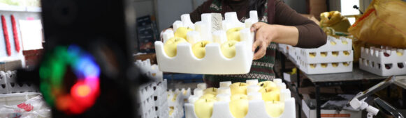 China’s Rural E-Commerce Sales Surpass 3 Tn Yuan for First Time in 2025, Lower-Tier Markets Show Growth Potential