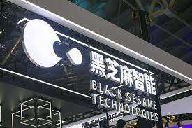 Black Sesame International