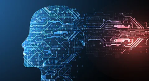 Brain-Computer Interface
