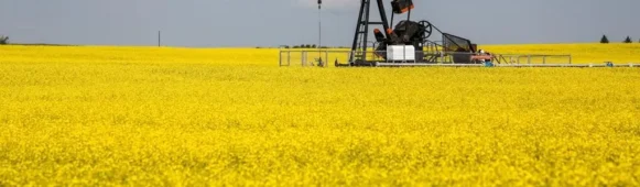 China Slashes Anti-Dumping Tariff on Canadian Canola to 5.9% After Carney Visit, Signaling Easing of Trade Tensions