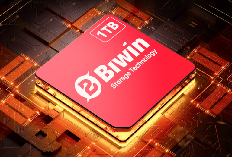Biwin Storage