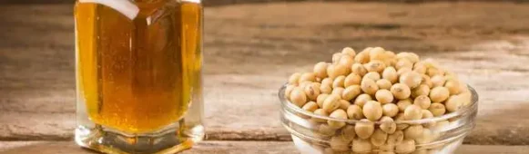 Dalian Exchange Revises Soybean and Palm Oil Futures, Global Energy Tensions and Biofuel Policies Drive Market Surge