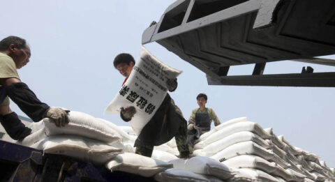Regarding urea market fundamentals, Yao said upstream daily output remains stable and is relatively high year-on-year. Downstream agricultural demand has entered its seasonal peak, while enterprise pre-orders have remained strong over the past two weeks, with inventories continuing to decline to around 500,000 tons. Overall, the domestic market is more driven by policy factors, and the credibility of related rumors remains questionable. Traders are advised to exercise caution in chasing long positions.