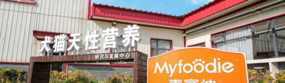 Gambol Pet at Inflection Point: Premiumization Strategy Tests Profitability Amid Shift from Export Dependence to Domestic Growth