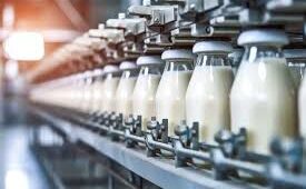 China’s Dairy Industry Shows Signs of Stabilization in 2025 After Prolonged Downturn, Divergence Widens and Strategies Shift