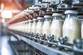 dairy