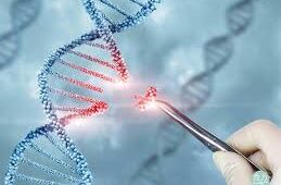 China for First Time Elevates Gene Editing to Strategic Core Technology for Agricultural Development