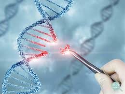 gene editing
