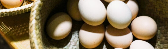 China’s Egg Prices Hit Five-Year High, Driving Poultry Stocks Higher Amid Tight Supply