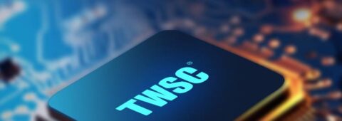Funds Move In to “Rescue” Techwinsemi Stock After Five Limit-Downs, Signaling Possible Stablization for Memory Chip Stocks