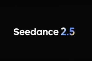 seedance