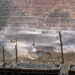 china rare earth